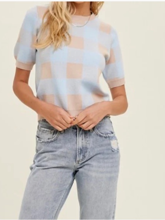 Wishlist Pastel Blue And Cream Checker Short Sleeve Sweater